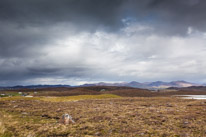 Scotland - 29 May 2015 / Highlands