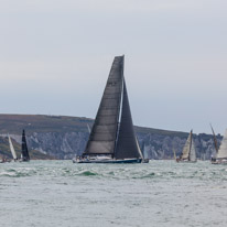 Fastnet - 16 August 2015 / Leopard