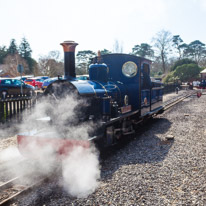 Exbury Garden - 02 April 2016 / Train driver