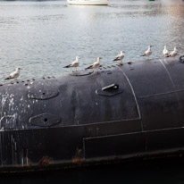Baltimore - 06 November 2016 / Seagulls on a submarine
