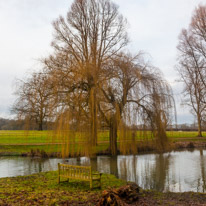 The Vyne - 05 February 2017 / The Vyne