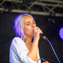 Petworth Festival - 01 July 2017 / Musicians